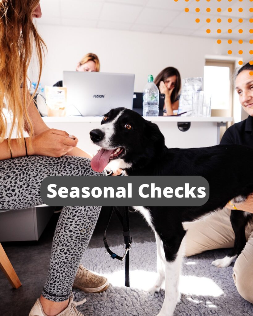 Seasonal Checks for your dog at the renew centre